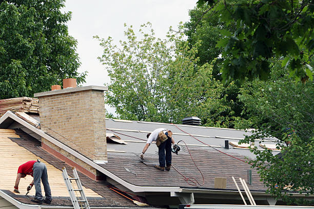 Best Roof Maintenance Services  in Marquette Heights, IL
