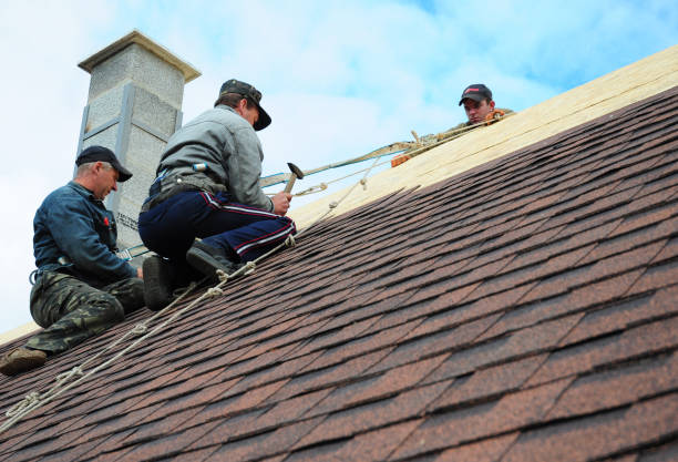Best Best Roofing Contractors  in Marquette Heights, IL